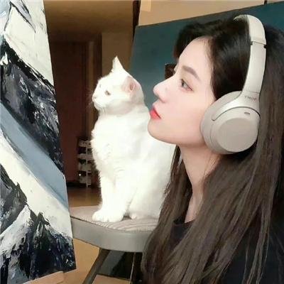 侵犯实况